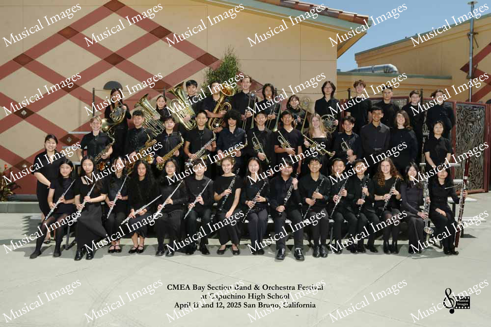 Musical Images